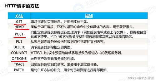 网络安全中的HTTP头部注入与防范策略