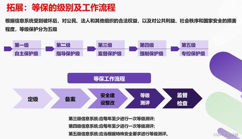 信息系统网络安全方案 基于“3保1评”的软件开发实践